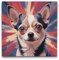  Festés számok szerint - Chihuahua vörös és kék árnyalatokban Méret: 50x50cm, Keretezés: Műanyagtáblával