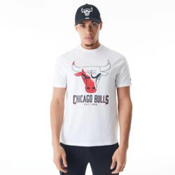 New Era Chicago Bulls NBA Graphic Tee , Alb , M