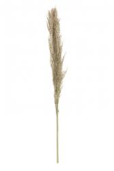 Chaks Iarbă de pampas - Natural 115 cm