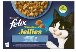 FELIX SENSATIONS JELLIES Halas válogatás aszpikban nedves macskaeledel 340g