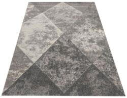 DY Covor modern gri Worma Dimensiuni: 80x150 cm Covor