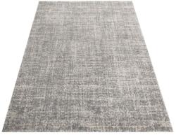 DY Covor modern gri Sily Dimensiuni: 160x220 cm Covor
