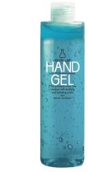 Youth Lab Antiseptic Hand Gel Гел за ръце унисекс 500ml