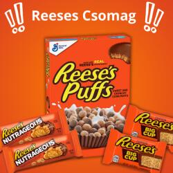 Reese's Reeses Csomag családi kiszerelés 498g