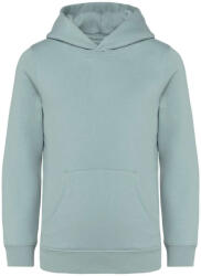 Native Spirit NS404 KIDS’ HOODED SWEATSHIRT (ns404jg-12/14)
