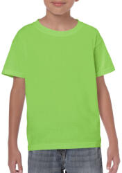 Gildan GIB5000 HEAVY COTTON YOUTH T-SHIRT (giB5000li-m)