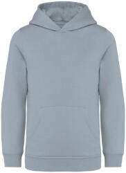 Native Spirit NS404 KIDS’ HOODED SWEATSHIRT (ns404aqm-12/14)