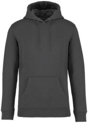 Native Spirit NS401 SURFER (ns401igr-xs)