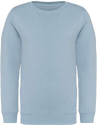 Native Spirit NS403 KIDS' ECO-FRIENDLY ROUND NECK SWEATSHIRT (ns403aqm-12/14) - ajandektargykozpont