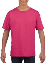 Gildan GIB64000 SOFTSTYLE® YOUTH T-SHIRT (giB64000he-xs)