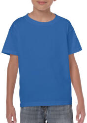 Gildan GIB5000 HEAVY COTTON YOUTH T-SHIRT (giB5000ro-l)