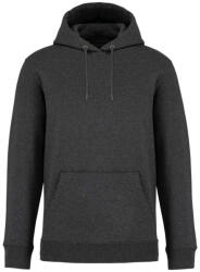 Native Spirit NS401 SURFER (ns401vgh-l)