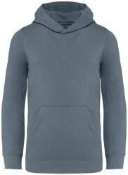 Native Spirit NS404 KIDS’ HOODED SWEATSHIRT (ns404mngr-10/12)