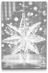  PontPöttyöző - Karácsonyfa dísz Méret: 40x60cm, Keretezés: Keret nélkül (csak a vászon), Szín: Fekete