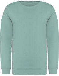 Native Spirit NS403 KIDS' ECO-FRIENDLY ROUND NECK SWEATSHIRT (ns403jg-12/14)