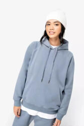 Native Spirit NS422 LADIES' ECO-FRIENDLY RAGLAN HOODED SWEATSHIRT (ns422iv-s)