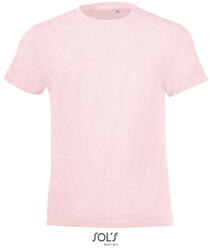 SOL'S SO01183 SOL'S REGENT FIT KIDS - ROUND NECK T-SHIRT (so01183hep-2a)