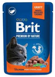 Brit premium pouch salmon sterilized 100 g 851