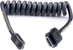 Atomos HDMI Micro HDMI Convertor Negru 30cm ATOM4K60C1 (ATOM4K60C1)