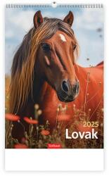 KALENDART 2025 T094 Lovak falinaptár (25T9400-07A) - bestbyte