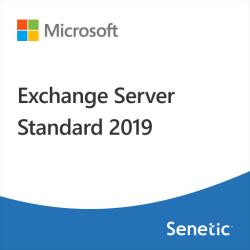 Microsoft Exchange Server Standard 2019 User CAL (DG7GMGF0F4MB-0004)