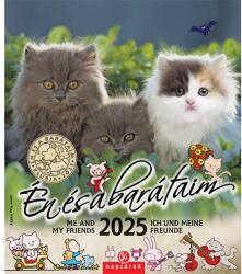 CSG 2025 Én és a barátaim 19x22cm falinaptár (FN U05) - officedepot