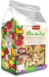 Vitapol Gyümölcsös-zöldséges spajz csincsilláknak 100 g