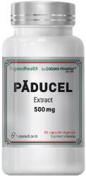 Cosmo Pharm Paducel Extract, 500 mg, 60 capsule, Cosmo Pharm