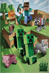 Mojang Minecraft Cave Attack takaró, pléd 100x150 cm Nr2