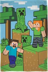 Mojang Minecraft polár takaró, pléd 100x150 cm Nr1
