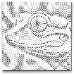 PontPöttyöző - Gyík rózsaszín árnyalatokban Méret: 50x50cm, Keretezés: Kartonlemezen, Szín: Piros