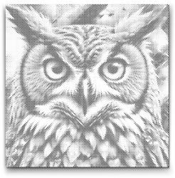  PontPöttyöző - Bagoly tompa zöld árnyalatokban Méret: 50x50cm, Keretezés: Kerek keret, Szín: Piros
