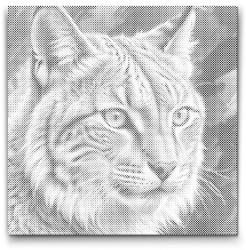  PontPöttyöző - Hiúz tompa zöld árnyalatokban Méret: 50x50cm, Keretezés: Műanyagtáblával, Szín: Zöld