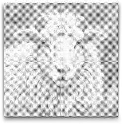  PontPöttyöző - Juhok türkiz és narancs árnyalatokban Méret: 50x50cm, Keretezés: Kerek keret, Szín: Zöld