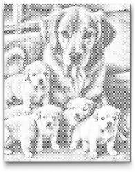 PontPöttyöző - Golden Retriever és kölykök Méret: 40x50cm, Keretezés: Keret nélkül (csak a vászon), Szín: Fekete