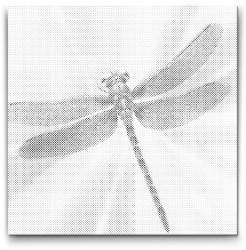  PontPöttyöző - Szitakötő türkiz és narancs árnyalatokban Méret: 50x50cm, Keretezés: Kerek keret, Szín: Zöld