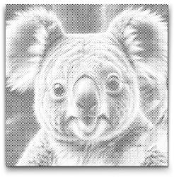 PontPöttyöző - Koala türkiz és narancs árnyalatokban Méret: 50x50cm, Keretezés: Keret nélkül (csak a vászon), Szín: Zöld