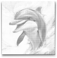  PontPöttyöző - Delfin piros és kék árnyalatokban Méret: 50x50cm, Keretezés: Kartonlemezen, Szín: Fekete
