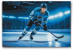  Festés számok szerint - Jégkorong Méret: 40x60cm, Keretezés: Kartonlemezen