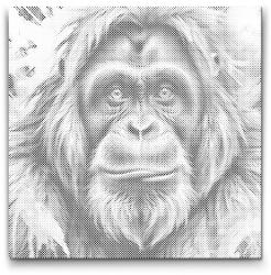  PontPöttyöző - Orangután vörös és kék árnyalatokban Méret: 50x50cm, Keretezés: Kartonlemezen, Szín: Kék