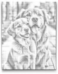  PontPöttyöző - Szerelmes kutyák Méret: 30x40cm, Keretezés: Műanyagtáblával, Szín: Piros