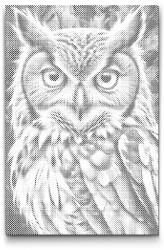  PontPöttyöző - Bagoly a sötét türkiz árnyalataiban Méret: 40x60cm, Keretezés: Műanyagtáblával, Szín: Zöld