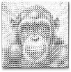 PontPöttyöző - Csimpánz rózsaszín árnyalatokban Méret: 50x50cm, Keretezés: Kerek keret, Szín: Kék