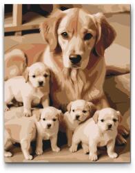 Festés számok szerint - Golden Retriever és kölykök Méret: 30x40cm, Keretezés: Kartonlemezen