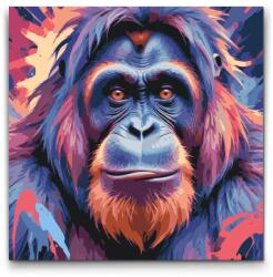 Festés számok szerint - Orangután vörös és kék árnyalatokban Méret: 50x50cm, Keretezés: Kerek keret