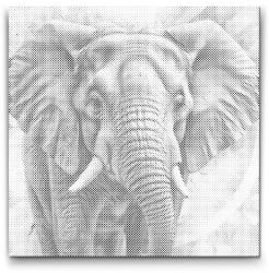  PontPöttyöző - Elefánt türkiz és narancs árnyalatokban Méret: 50x50cm, Keretezés: Keret nélkül (csak a vászon), Szín: Fekete