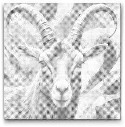 PontPöttyöző - Ibex tompa zöld árnyalatokban Méret: 50x50cm, Keretezés: Kerek keret, Szín: Fekete