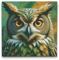  Gyémántszemes kirakó - Bagoly tompa zöld árnyalatokban Méret: 50x50cm, Keretezés: Kartonlemezen, Gyémántok: Négyzet alakú