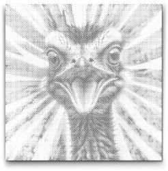  PontPöttyöző - Strucc vörös és kék árnyalatokban Méret: 50x50cm, Keretezés: Kerek keret, Szín: Fekete