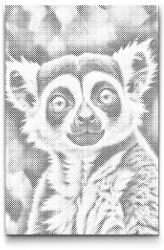  PontPöttyöző - Lemur a sötét türkiz árnyalataiban Méret: 40x60cm, Keretezés: Kartonlemezen, Szín: Kék